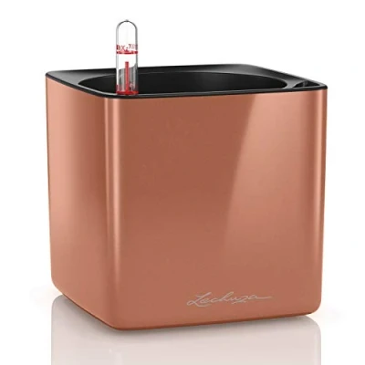 Abbildung von Lechuza® Kräutertopf Pflanztopf CUBE Glossy 14 spicy copper highgloss