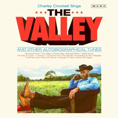 Abbildung von The Valley [Vinyl LP]