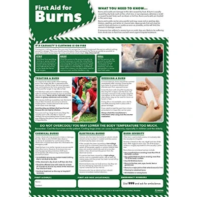 Abbildung von Daydream Education „First Aid for Burns“ Poster (englische Version)