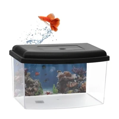 Abbildung von GarPet Aquarium Mini Terrarium Zucht Becken Fisch Triops Garnelen Kunststoff