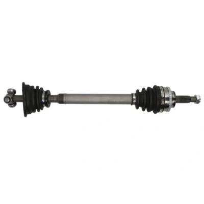 Abbildung von Antriebswelle PASCAL G2R042PC