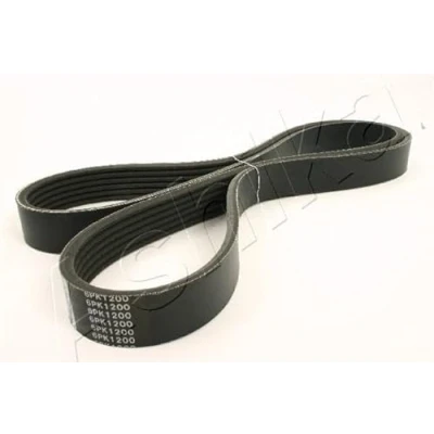 Abbildung von Keilrippenriemen ASHIKA 112 6PK1200