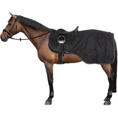 Abbildung von Riding World Ausreitdecke Wasserdicht Schwarz 165cm