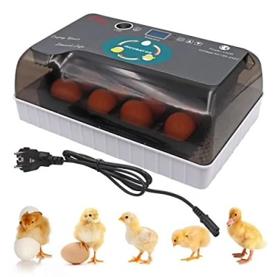 Abbildung von Brutautomat Vollautomatisch,Inkubator,Brutautomat für 12 Eier mit LED Anzeige und Temperatur Feuchtigkeitskontrolle Zum AusbrüTen Von HüHnern, HüHner, Enten, GäNse GeflüGeleier Inkubator