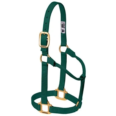Abbildung von Weaver Leather Original Non Adjustable Nylon Horse Halter, Hunter Green, Yearling