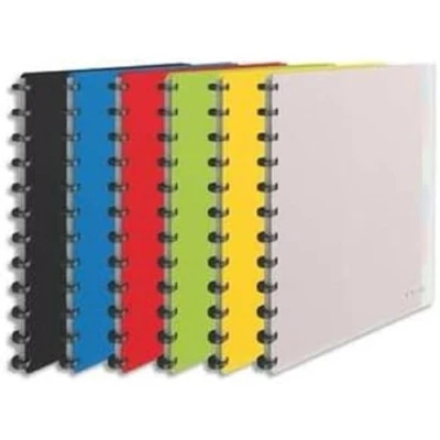 Abbildung von Esselte 624014 Mappe mit herausnehmbaren Hüllen, 25 für 50 Blatt A4,, weicher Einband, verschiedene Farben, Palette VIVIDA
