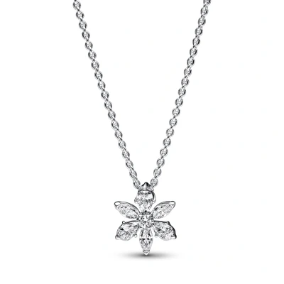 Abbildung von Pandora Sparkling Herbarium Cluster Halskette, Damen, Größe: 45, Sterling silver