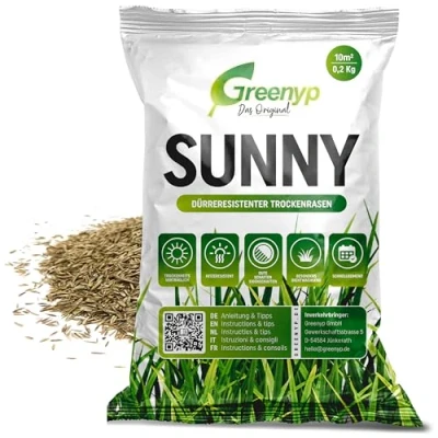 Abbildung von Greenyp® Sunny I dürreresistenter Trockenrasen 0,2kg für 10m² Grassamen Rasensamen Rasensaat Gras Nachsaat schnellkeimend