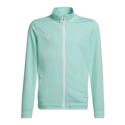 Abbildung von adidas Unisex Kinder Entrada 22 Track Jacket, clear mint, 13 14 Years