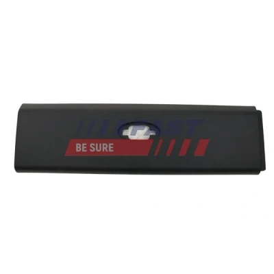 Abbildung von Zier /Schutzleiste, Seitenwand FAST FT90985G