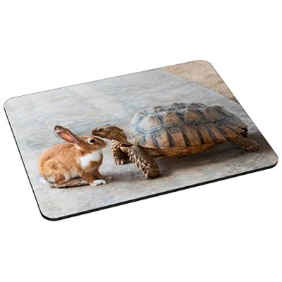Abbildung von Pedea 67007095, Mauspads 22 x 18 cm Rabbit and Turtle