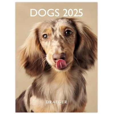 Abbildung von Draeger Paris Kleiner Wandkalender 14 x 18 cm 2025 September 2024 bis Dezember 7 Sprachen 12 Fotos verfügbar Hunde Organisation Ihrer Tage