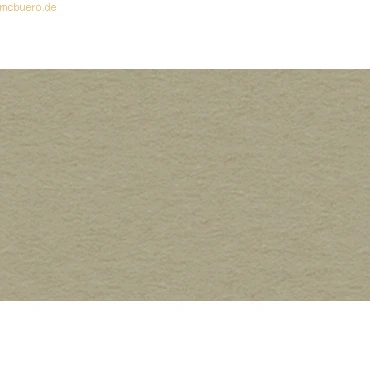 Abbildung von Ursus 3200076 Papierstreifen für Fröbelsterne, taupe, aus Tonzeichenpapier 130 g/qm, ca. 1 x 50 cm, 100 Streifen 25 Sterne, Bastelklassiker zur Weihnachtszeit