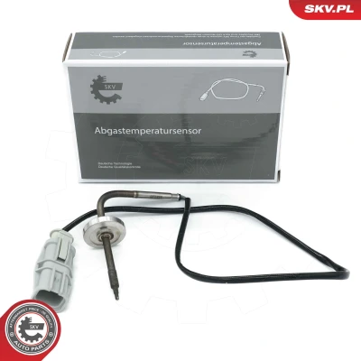 Abbildung von ESEN SKV 30SKV457 Sensor, Abgastemperatur