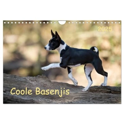 Abbildung von Coole Basenjis (Wandkalender 2025 DIN A4 quer), CALVENDO Monatskalender