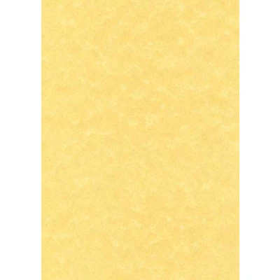 Abbildung von APLI scl2059 Samtbeutel 25 Blatt Papier A4 95 g Pergament Gold