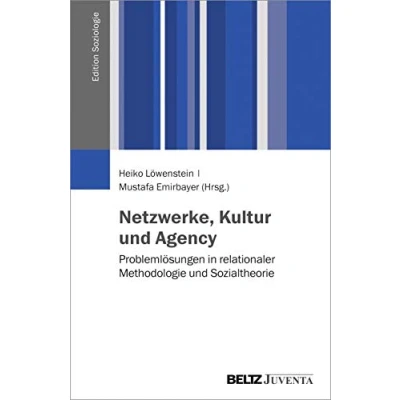 Abbildung von Netzwerke, Kultur und Agency: Problemlösungen in relationaler Methodologie Sozialtheorie (Edition Soziologie)