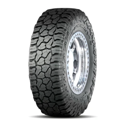 Abbildung von Falken WILDPEAK R/T RT01 275/65 R18 119/116Q PKW Sommerreifen Reifen 356979