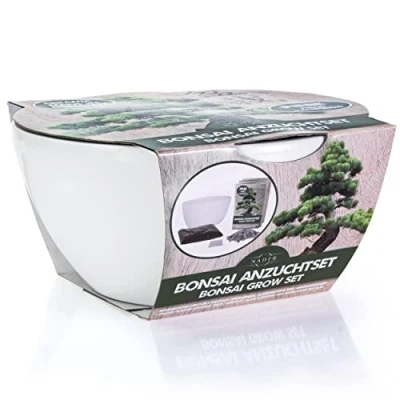 Abbildung von Kunstbonsai Bonsai Starter Kit Anzuchtset Pinie Pflanzenset Geschenk Bonsai, NADIR
