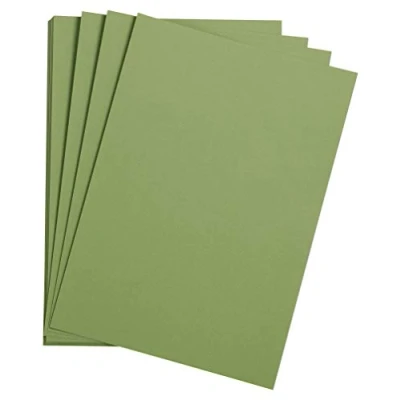 Abbildung von Clairefontaine 90796C Packung mit 25 Bogen Zeichenpapier Etival Color, DIN A3, 29,7 x 42cm, 160g, 1 Pack Apfelgrün