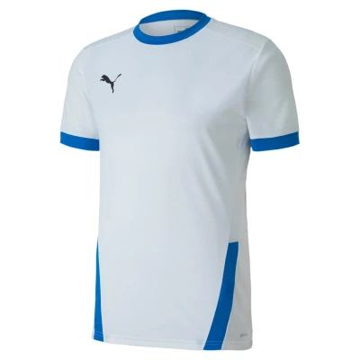 Abbildung von Jersey Puma Team Goal 23