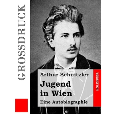 Abbildung von Jugend in Wien (Großdruck): Eine Autobiographie