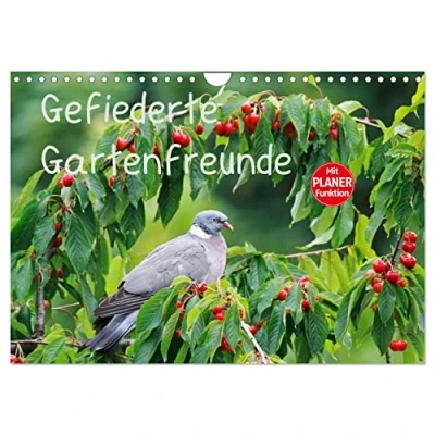 Abbildung von Gefiederte Gartenfreunde (Wandkalender 2025 DIN A4 quer), CALVENDO Monatskalender