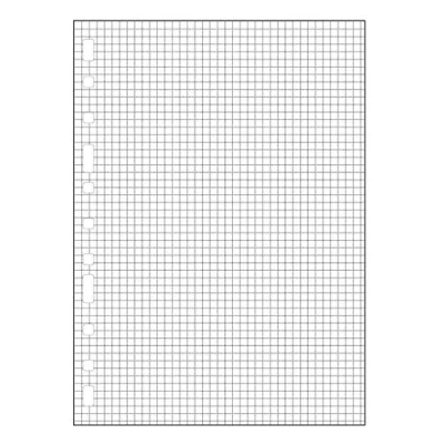 Abbildung von Finocam 3002 Nachfüllpack 155 x 215 Raster 50 Blatt 4 mm