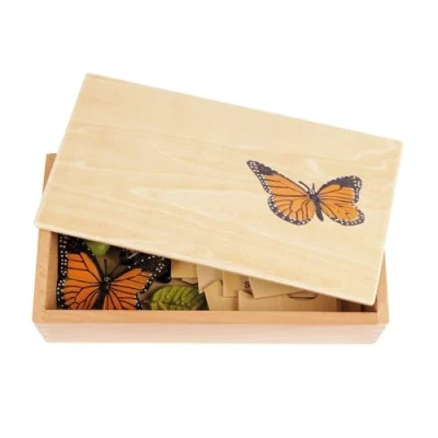 Abbildung von TimeTEX Lebenszyklus eines Schmetterlings In Holzbox &quot;Montessori Premium&quot; Zur Veranschaulichung des Entwicklungsprozesses Maße der Holzbox: 23,1x12,1x5,6 cm