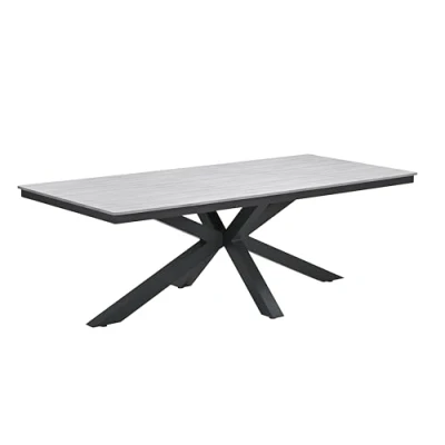 Abbildung von Gardissimo Gartentisch Esstisch Armati dunkel 220x100cm rechteckig, Tisch Nonwood, höhenverstellbare Füße / absolut wetterfest pflegeleicht Aluminium