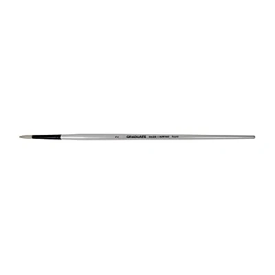 Abbildung von Daler Rowney Graduate Oil Brush Natural Brigh Brushes 2