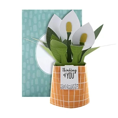 Abbildung von Hallmark Pop Up Karte Modernes Peace Lilien Pflanzen Design