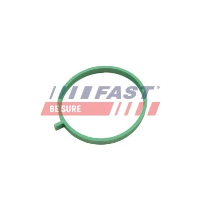 Abbildung von FAST FT49472 Ansaugkrümmerdichtung mitte OPEL: Combo C Kasten / Kombi, B Kastenwagen, Tour, FIAT: Doblo II Kombi
