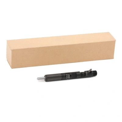 Abbildung von DELPHI 28232251 Düsenstock RENAULT: CLIO 3, Kangoo II Express, I