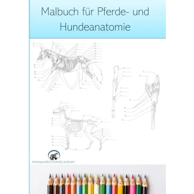 Abbildung von Malbuch für Pferde und Hundeanatomie: Visuelle Lernhilfe Tiertherapeuten