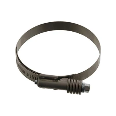 Abbildung von FEBI BILSTEIN 39027 Halteschelle, Ladeluftschlauch