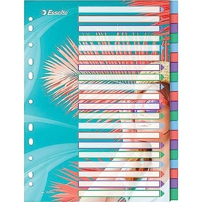 Abbildung von 6 x Esselte Register Colour&#039;Breeze A4 PP blanko 20 teilig transparent