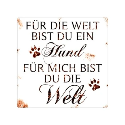 Abbildung von Interluxe 20x20CM Shabby Vintage BLECHSCHILD Metallschild FÜR DIE Welt BIST DU EIN Hund