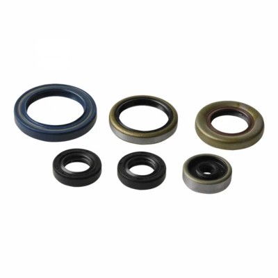 Abbildung von Motorsimmerringsatz ATHENA P400270400013