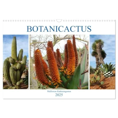 Abbildung von BOTANICACTUS Mallorcas Kakteengarten (Wandkalender 2025 DIN A3 quer), CALVENDO Monatskalender