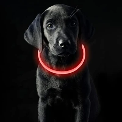 Abbildung von Coolzon LED Leuchthalsband Hundehalsband Aufladbar, Wasserdicht Halsband Hund 3 Modi, Längenverstellbareres Super Helle Leuchtband Katze und Hunde Klein Groß Mittel, Rot
