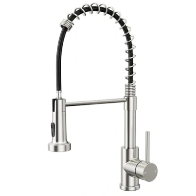Abbildung von Rainsworth Wasserhahn Küche Edelstahl Herausziehbare Zwei Wasserstrahlarten Hochdruck Küchenarmatur mit Brause Ausziehbar, Spültischarmatur 360Drehung Geeignet für Küchen und Wohnmobile Drahtziehen