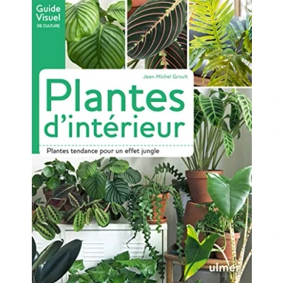 Abbildung von Plantes d&#039;intérieur: tendance pour un effet jungle