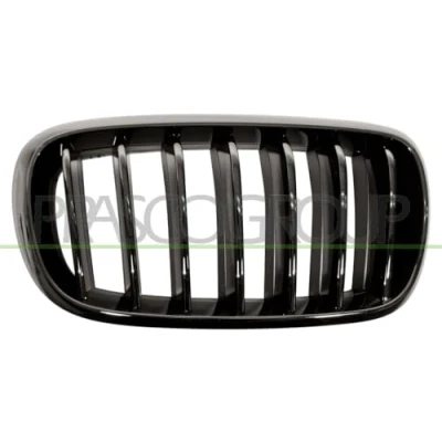 Abbildung von BLIC 6502 07 00969988P Kühlergrill vorne rechts, BMW: X5, X6