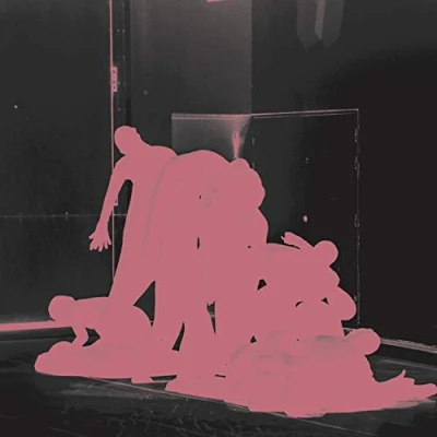 Abbildung von Variations in Darkness [Vinyl LP]