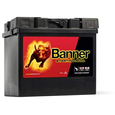 Abbildung von BannerPool 010530300101 Batterie 12V 30Ah 300A B00