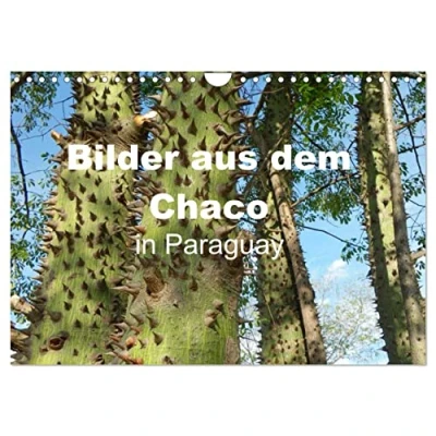 Abbildung von Bilder aus dem Chaco in Paraguay (Wandkalender 2025 DIN A4 quer), CALVENDO Monatskalender
