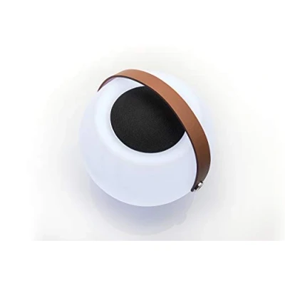 Abbildung von Dual BTP 2 Portabler Bluetooth Lautsprecher mit Lichteffekt, Weiß