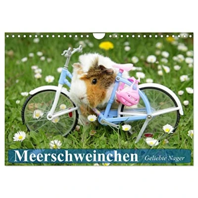 Abbildung von Meerschweinchen. Geliebte Nager (Wandkalender 2025 DIN A4 quer), CALVENDO Monatskalender