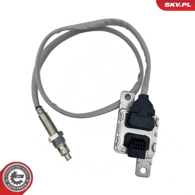 Abbildung von NOx Sensor, Katalysator ESEN SKV 71SKV102
